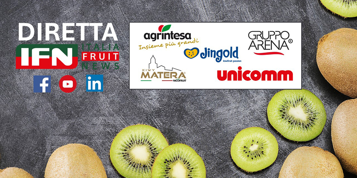 Kiwi, il giallo spinge i prezzi ma pesa il calo dei volumi